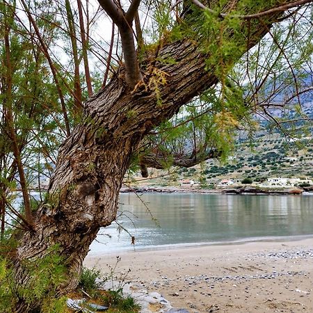 Tholos Alexandra'S Beachfront House Kavousi  Luaran gambar