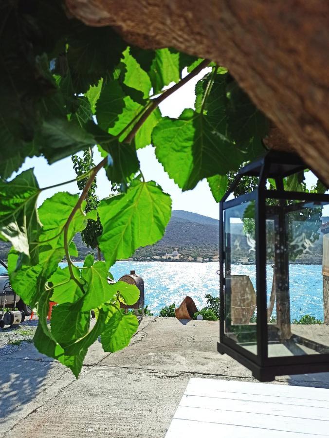 Tholos Alexandra'S Beachfront House Kavousi  Luaran gambar
