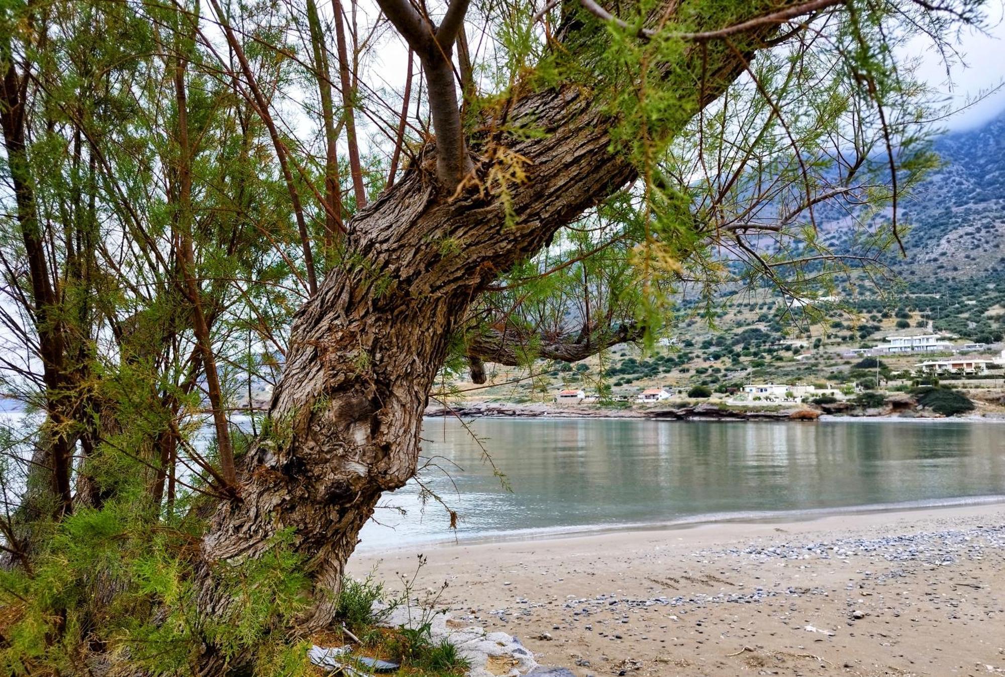 Tholos Alexandra'S Beachfront House Kavousi  Luaran gambar